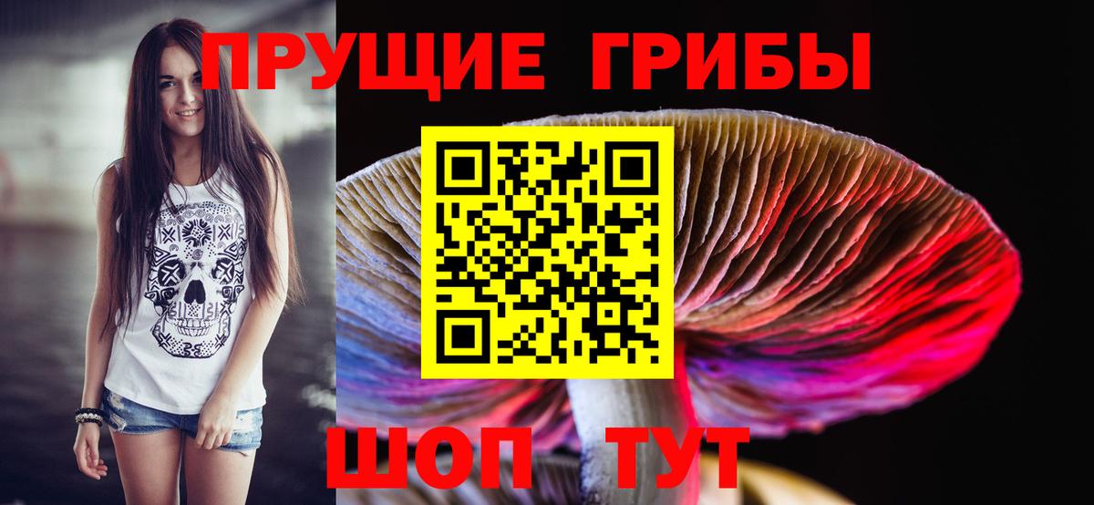 Галлюциногенные грибы мухоморы  Вход с VPN  Галлюциногенные грибы Psilocybine cubensis  Красноперекопск 